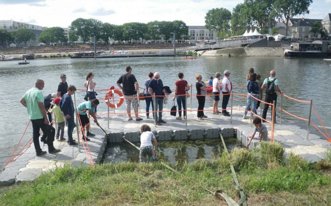 Tout Angers Bouge, Angers – depuis 2012