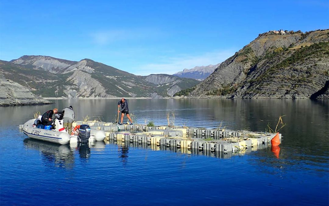 Ile flottante végétalisée – Lac de Serre-Ponçon – 2018